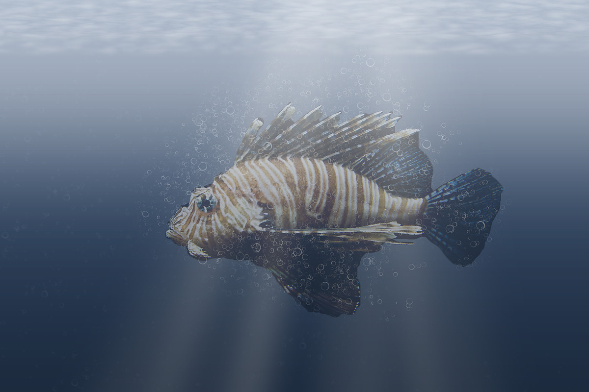 Underwater - Photoshop Action preview 8