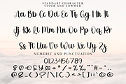 Summer Wedding, a Handwritten Font by FreshTypeINK (Thumbnail 2 of 8)