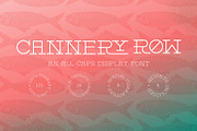 Cannery Row Slab Serif Display Font, a Slab Serif Font by Holt510 (Thumbnail 1 of 11)