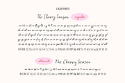 The Cherry Season - Handwritten Font, a Script Font by Kaya Fonts (Thumbnail 32 of 36)