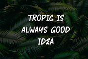 HONEKE Monoline Brush Font, a Handwritten Font by NTC Graphic (Thumbnail 5 of 9)