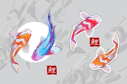 Watercolor carps koi
