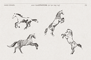 Galloping Horse Sketch, an Animal Illustration by TheMountBirdStudio (Thumbnail 4 of 6)