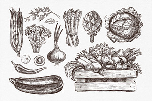 Vegetables. Hand Drawn Collection.