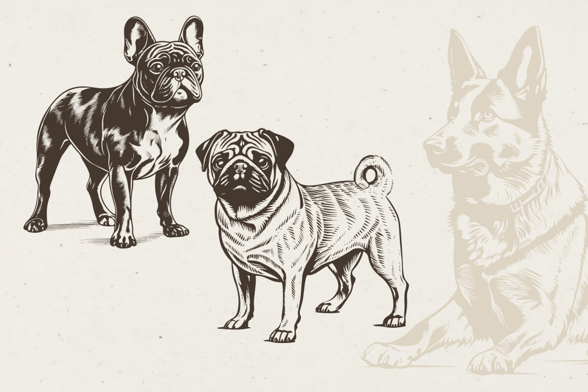 215 Dog Illustrations, an Animal Illustration by Nocturnal Wolf (Photo 8 of 14)