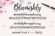 Bloomishly Brush Font, a Script Font by Nicky Laatz (Thumbnail 11 of 11)