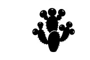 collection of desert cactus silhouet, an Illustration by Amazin_art (Thumbnail 22 of 33)