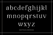 Mastfield - Modern Display Font, a Symbol Font by Sronstudio (Thumbnail 14 of 18)