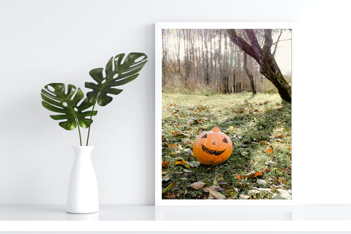 Rustic Pumpkin Garden, a Holiday Photo by pictures for you (Photo 4 of 11)