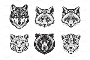 Faces wolf, fox, bear, and leopards, an Animal Illustration by yod67