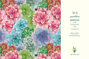 Succulents: 12 images, 6 patterns, an Illustration by Zooza Art (Thumbnail 6 of 9)