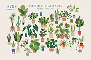 Home Plants | House Plants in Pots, a Decorative Illustration by Berentine.art (Thumbnail 1 of 16)