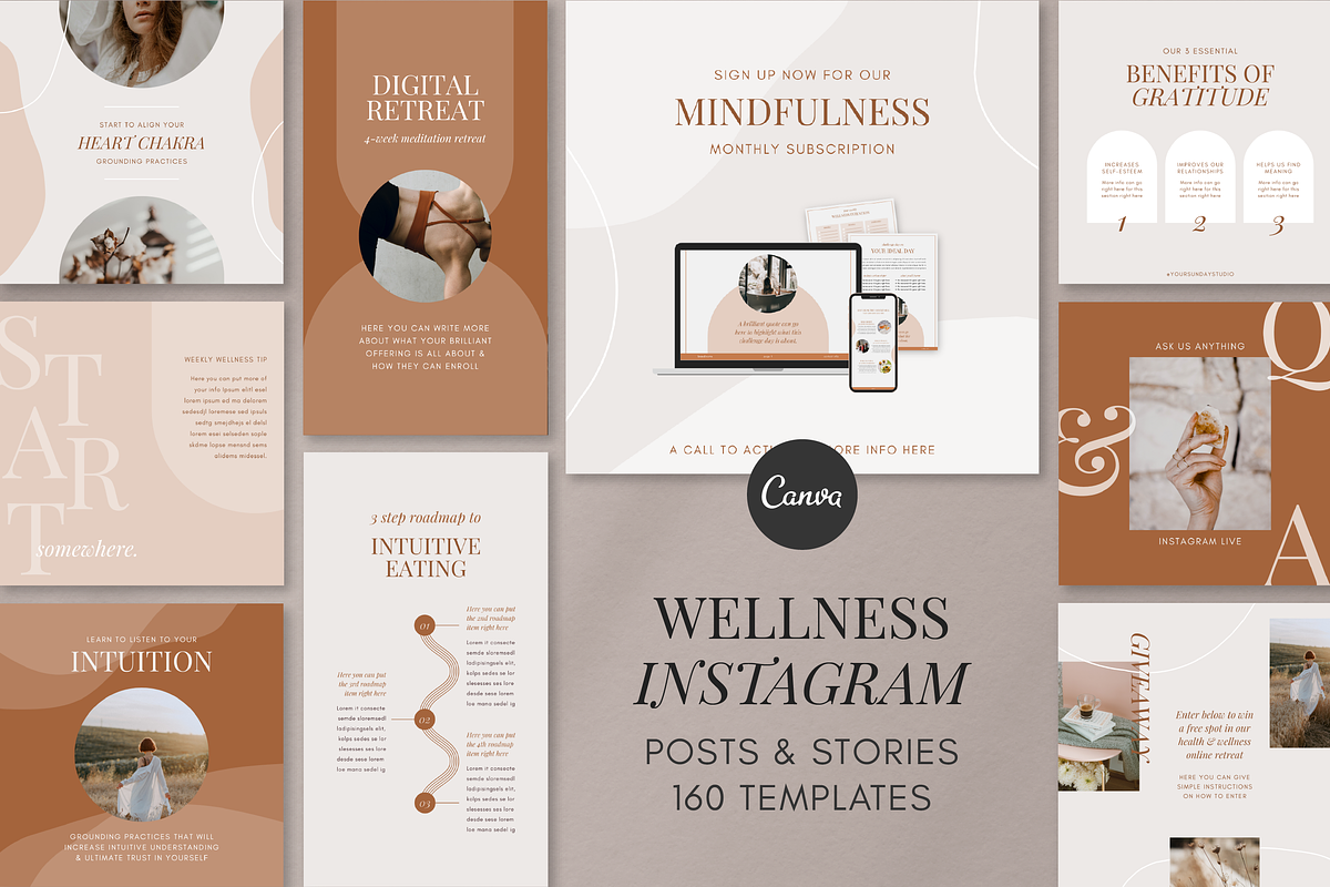Wellness Coach Resource Canva Bundle, a Design Template by Studio Soluna (Photo 3 of 45)
