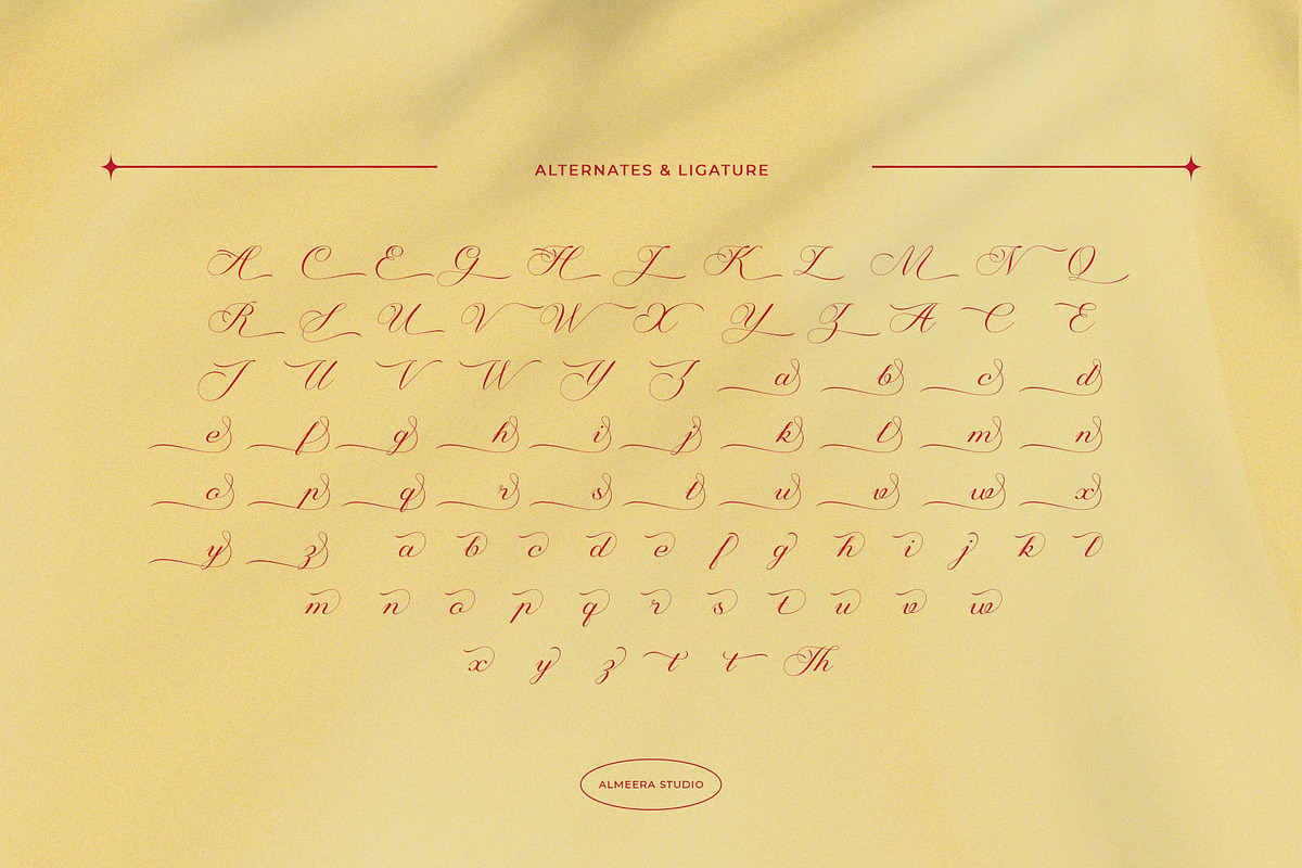 Fantasia – Elegant Script, a Script Font by Almeera Std (Photo 5 of 10)