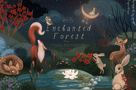 Enchanted Forest