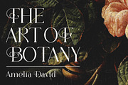 Florality - Modern Serif Font, a Serif Font by Almeera Std (Thumbnail 2 of 5)