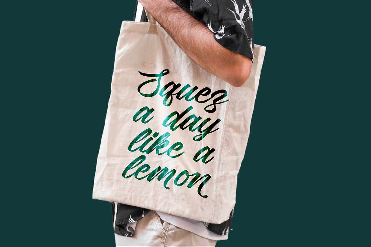 Rustical Banley Modern Script Font, a Script Font by Letterena Studios Script (Photo 3 of 20)