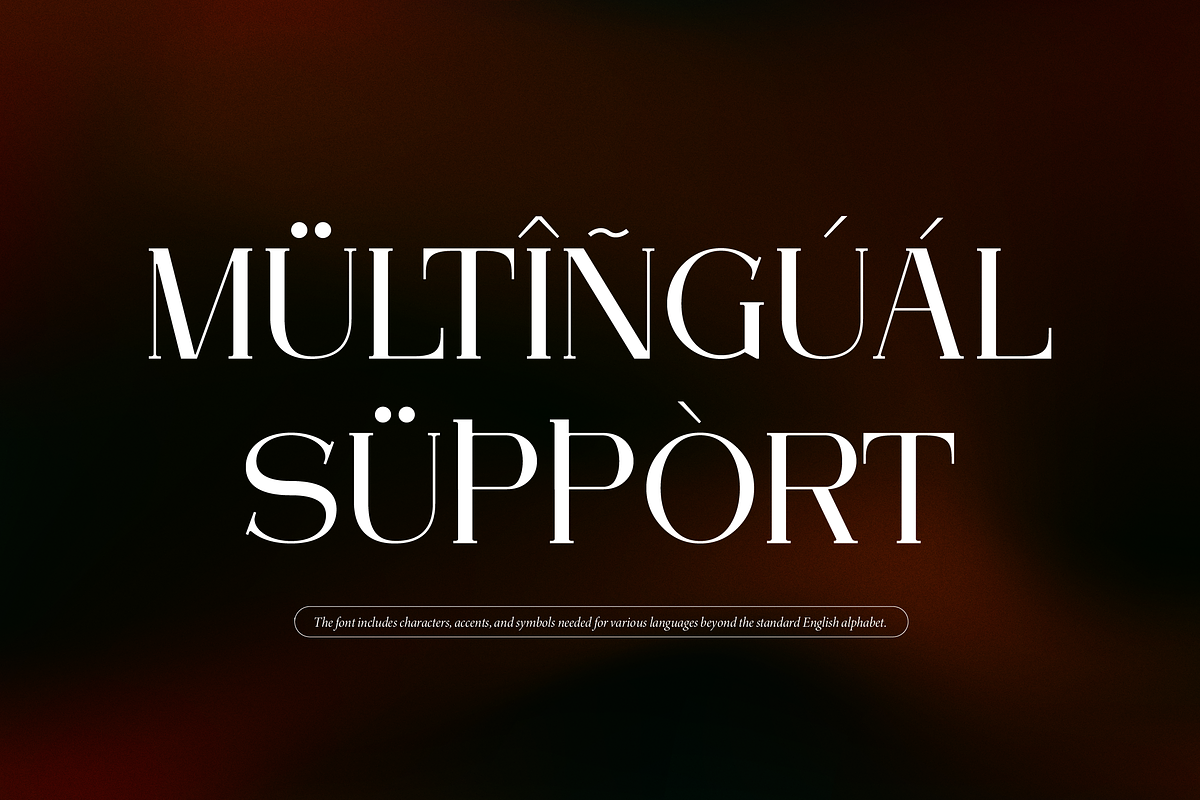 Arleon Domenk Display Elegant Serif, a Serif Font by Denustudios (Photo 13 of 15)