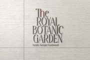 Stylish Avengers Serif Family, a Serif Font by moriztype (Thumbnail 4 of 13)