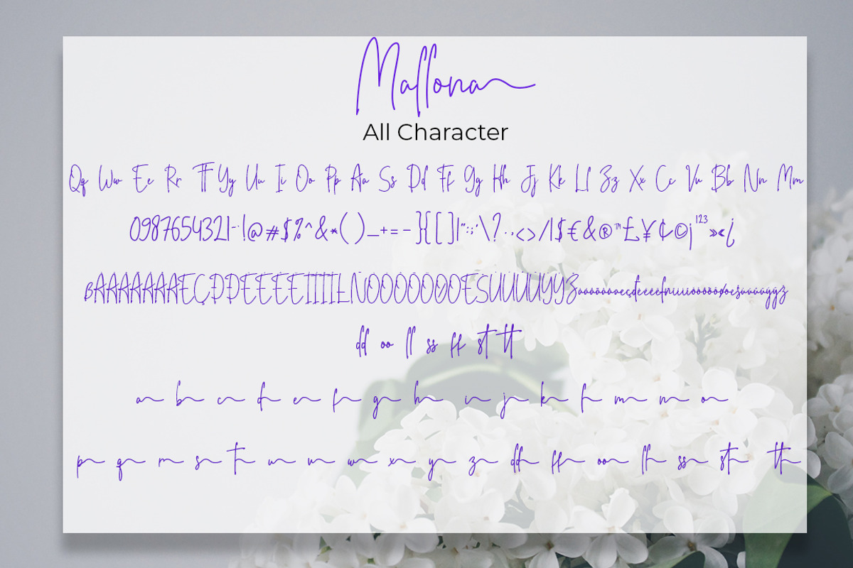 Mallona Script Signature Monoline, a Script Font by MC Creative (Photo 7 of 8)