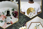 FLORISTA Huge Floral Collection, an Illustration by Cat In Colour (Thumbnail 2 of 14)