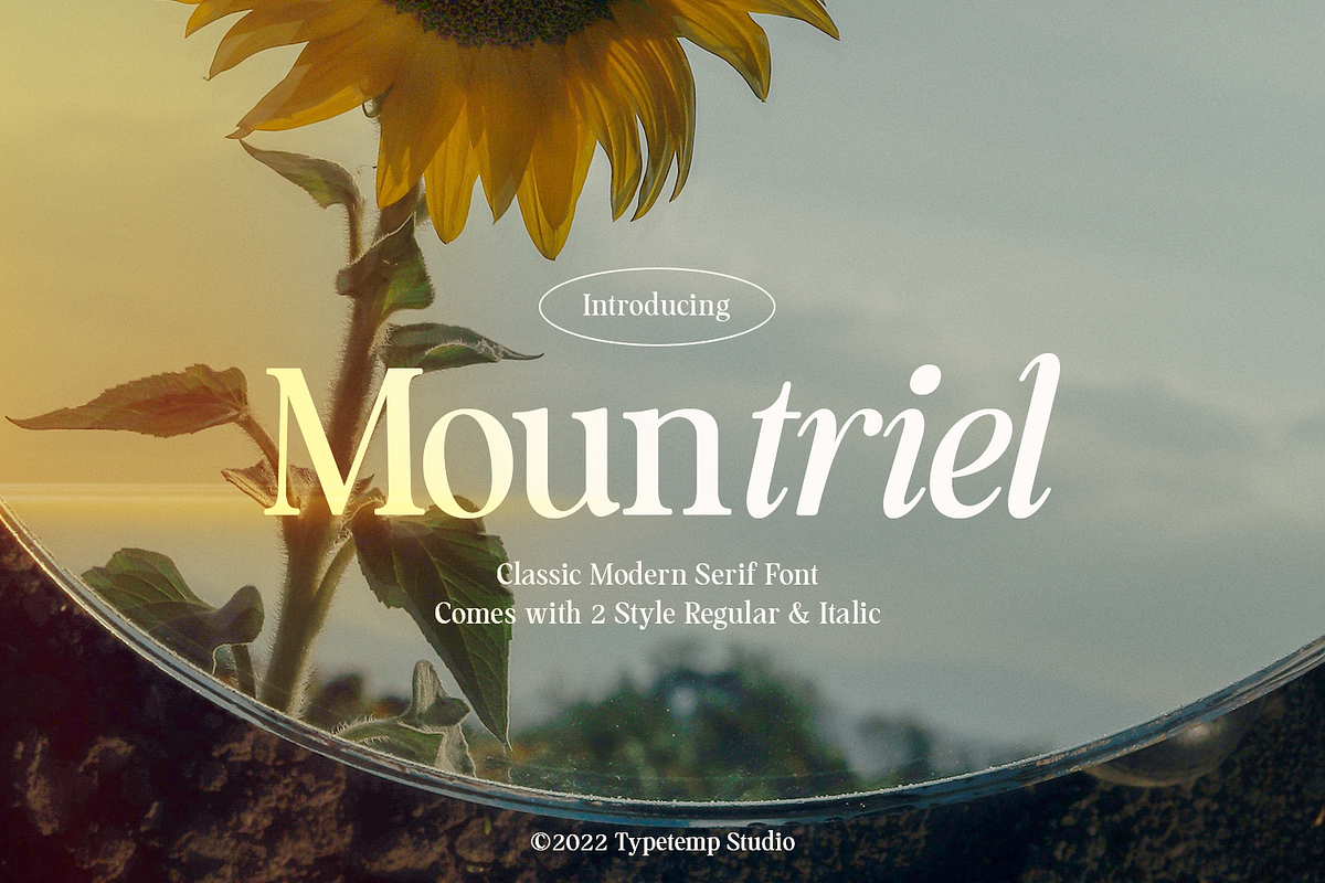 Mountriel - Classic Modern Serif, a Serif Font by Typetemp Studio (Photo 2 of 22)