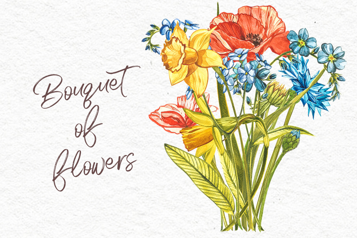 Wildflowers & Gardenflowers clipart, a Decorative Illustration by Ann Astro (Photo 6 of 9)