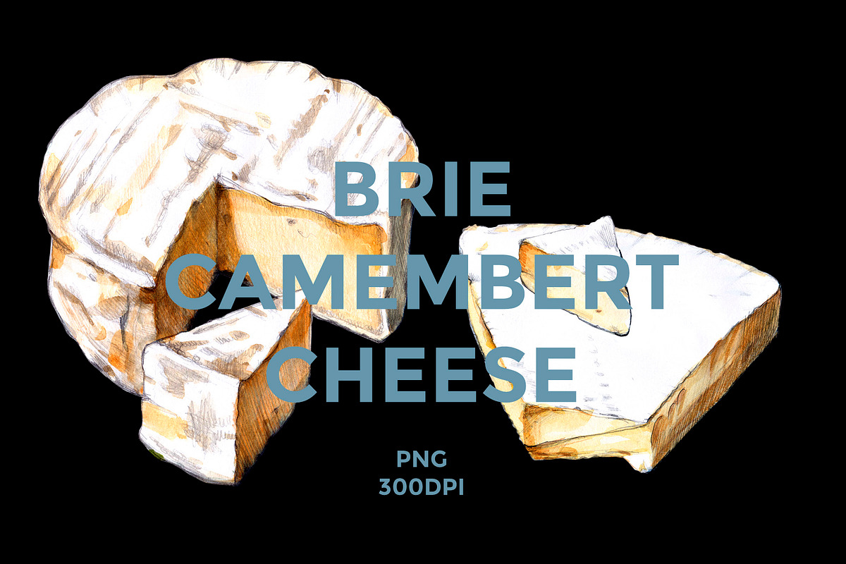 BRIE CAMEMBERT CHEESE WATERCOLOR, a Food Illustration by wedraw (Photo 1 of 7)