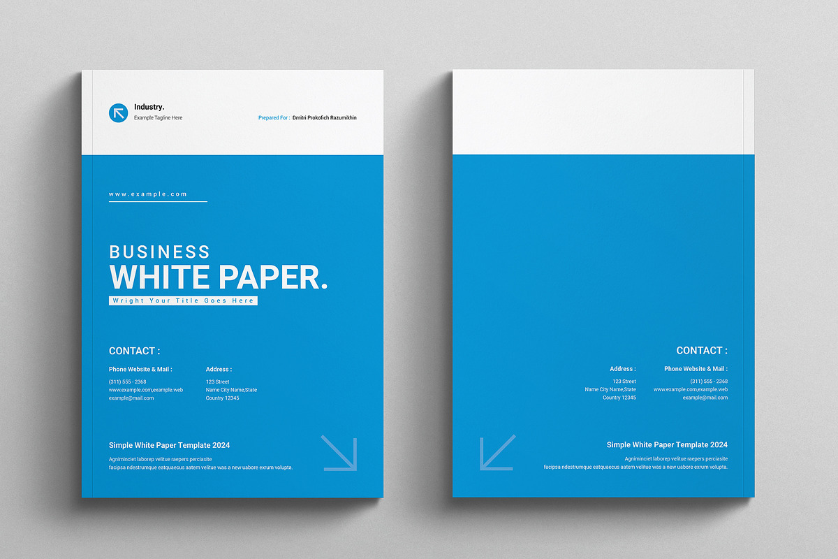White Paper Template, a Brochure Template by E-Type (Photo 9 of 9)
