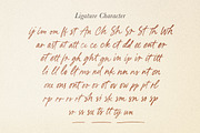 Written by Artist - Ligature Script, a Script Font by Sarid Ezra (Thumbnail 9 of 11)