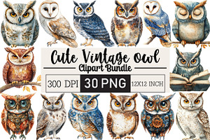 Vintage Owl Clipart, an Illustration by Black Bird Studio
