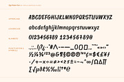 Sign Painter, a Handwritten Font by Type and Graphics Studio (Thumbnail 14 of 16)