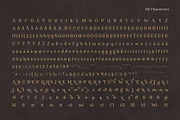 Ambigue Wild Modern x Vintage Serif, a Serif Font by Wandery Supply (Thumbnail 17 of 22)