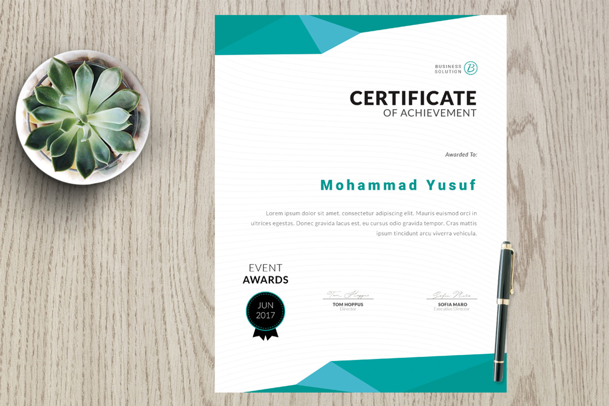 Certificate vm4, a Stationery Template by Kayytechin Shop (Photo 4 of 4)