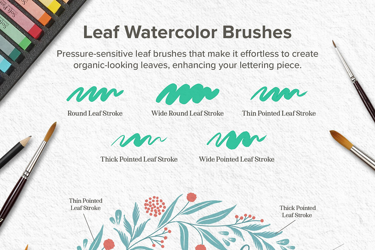 Watercolor Lettering Brush Toolbox, a Brush Add-On by Nico-Ng (Photo 4 of 16)
