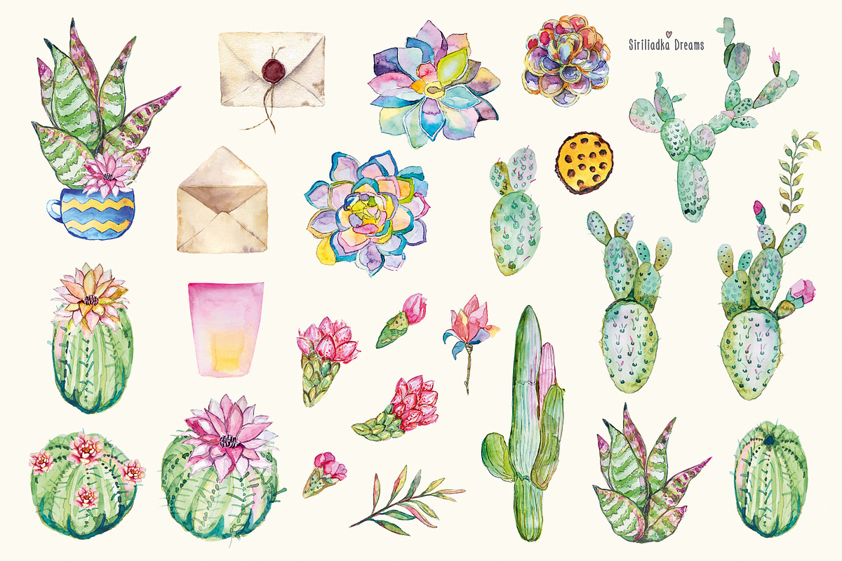 Watercolor cactus and succulents, a Decorative Illustration by Siriliadka Dreams (Photo 5 of 9)