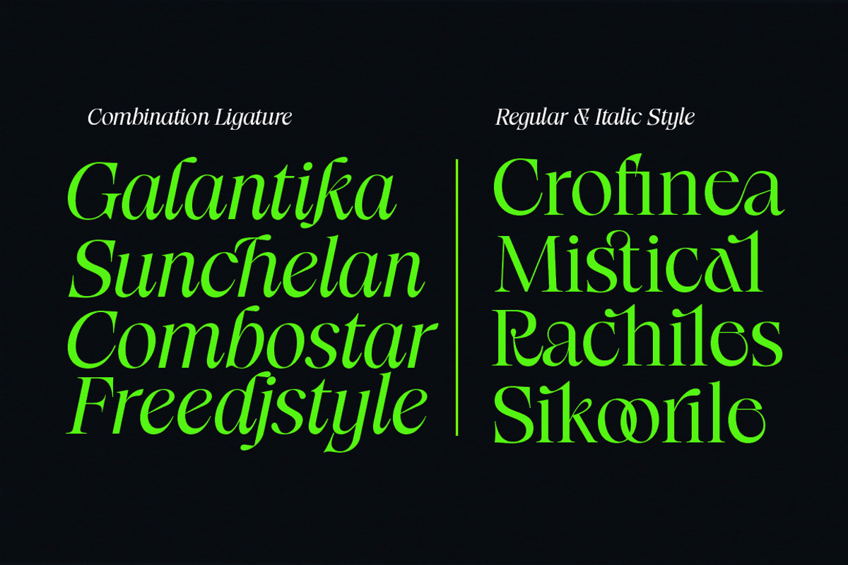 Radilen Aveline, a Serif Font by Dora Typefoundry (Photo 7 of 18)