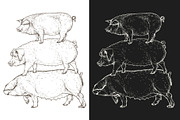 Eco pig farm, an Object Graphic by ArtOwl (Thumbnail 5 of 7)