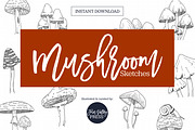Mushroom Sketch Clipart Collection, an Illustration by Hannah Eliza Studio (Thumbnail 1 of 5)