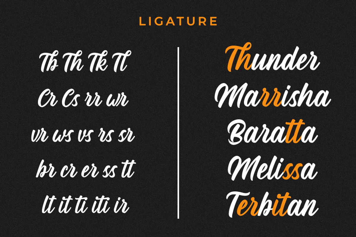 Hasdina Script, a Script Font by Beautypes (Photo 6 of 7)