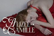 Selnonce - Elegant Luxury Serif, a Serif Font by Qweera Studio (Thumbnail 2 of 12)