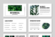 Botanical Presentation, a Presentation Template by MightyDesign (Thumbnail 2 of 7)