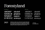 Forestyland Retro Serif Family Font, a Serif Font by UICreative (Thumbnail 7 of 13)