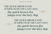 Heading South | Retro serif, a Serif Font by ClevUs (Thumbnail 11 of 14)