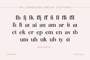Roserri - Modern Ligature Serif, a Serif Font by Vesvocrea (Thumbnail 8 of 15)