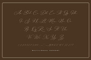 La Belle Signature Font, a Script Font by Nirmana Visual (Thumbnail 7 of 12)