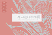 Protea Illustration Vector, an Illustration by Pretty Please Lara (Thumbnail 4 of 6)