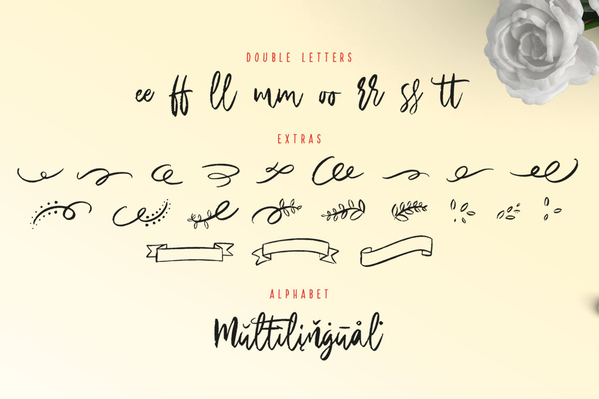Silver Charm, a Handwritten Font by StereoType (Photo 9 of 10)