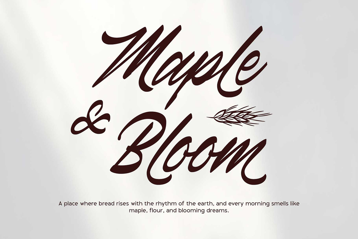 Canlord - Brush Font, a Script Font by Novitype (Photo 8 of 11)