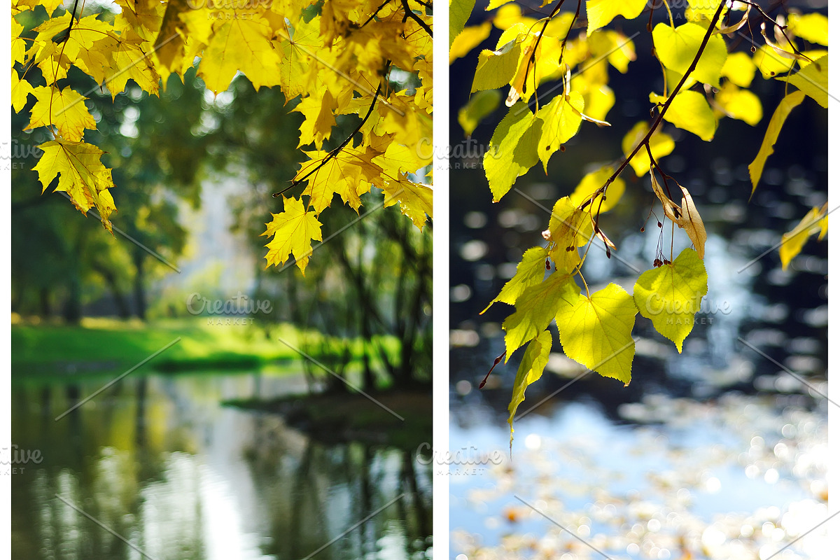 Fall backgrounds featuring colorful, color, and design, a Nature Photo by Fruits+Veggies (Photo 5 of 5)